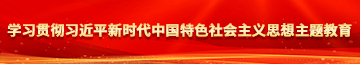 露逼网址学习贯彻习近平新时代中国特色社会主义思想主题教育